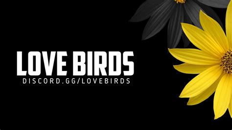 girl discord server|Lovebirds 